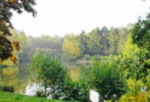 Seegarten美食图片