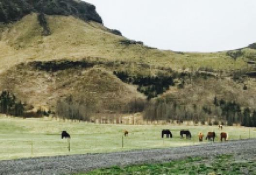 Restaurant at Hotel Geirland美食图片