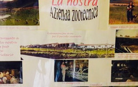 Agriturismo Le Casette