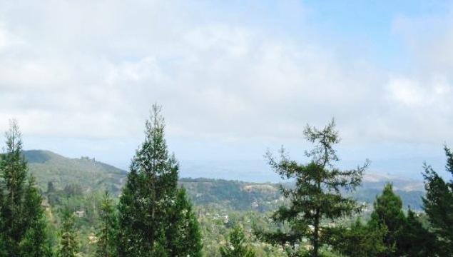 Mountain Home Inn餐厅图片