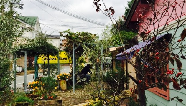 Louijiana Mama Kameokaten