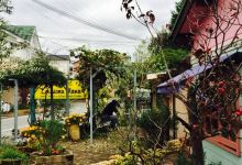 Louijiana Mama Kameokaten美食图片