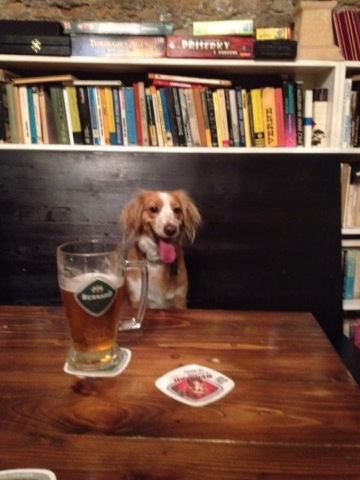 Pod Kamennym Stromom餐厅图片