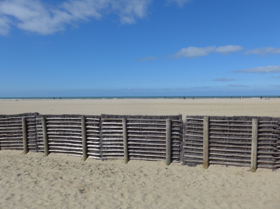 Bar de la Mer餐厅图片