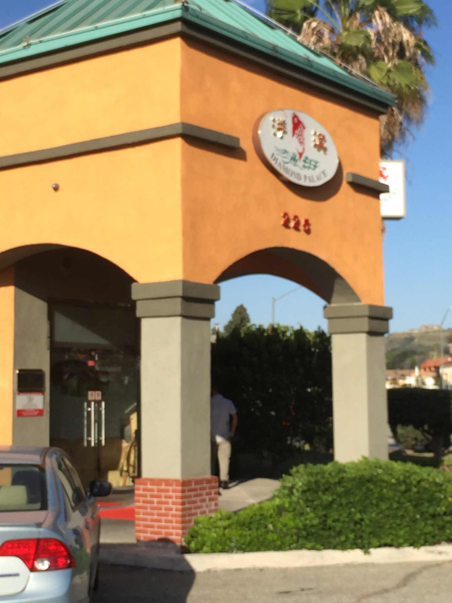 Diamond Palace Chinese Seafood Restaurant餐厅图片