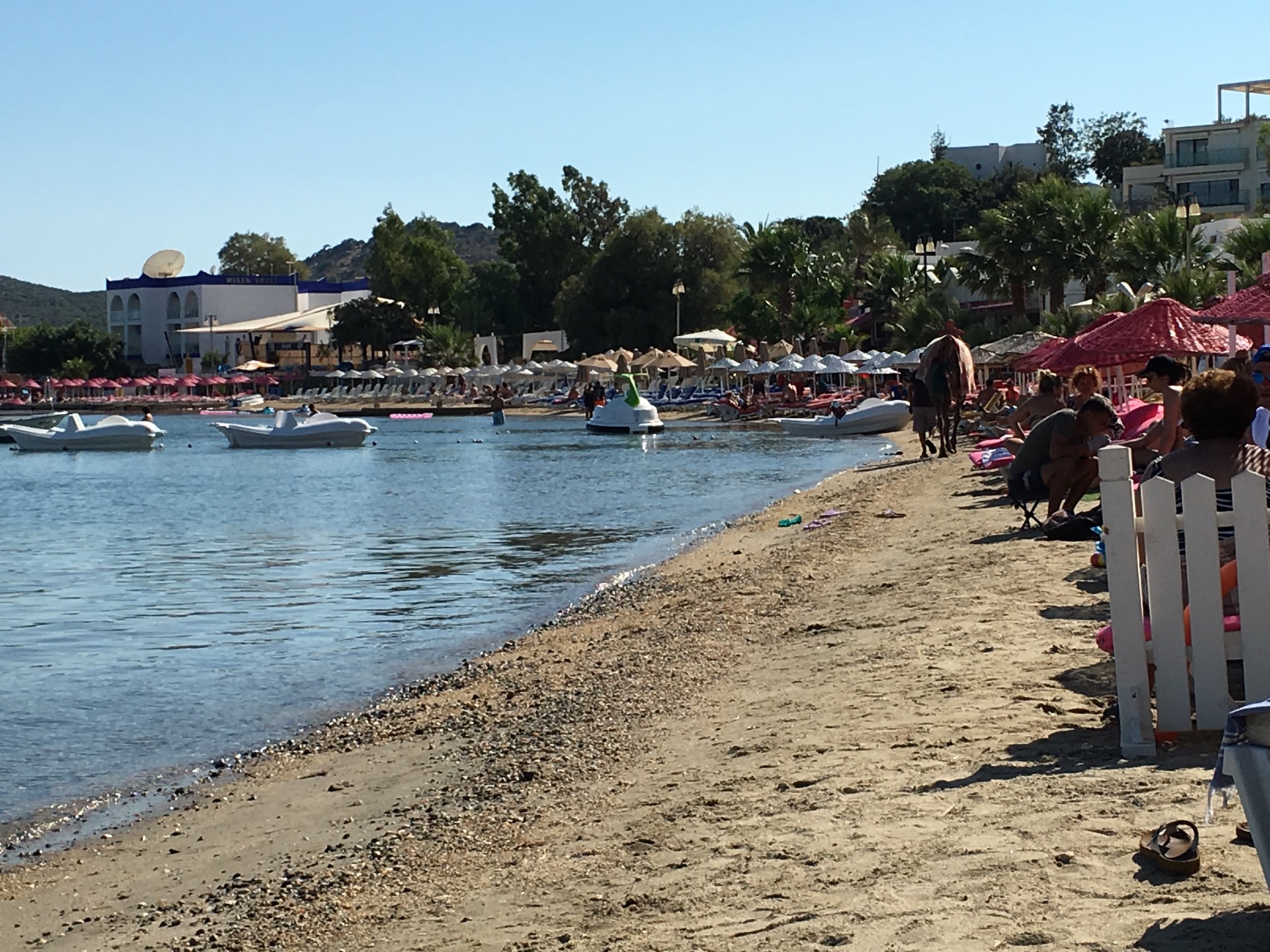 The Beach House Cafe餐厅图片