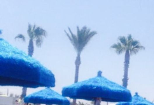 Bagno 72美食图片