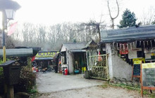 Wupis Tranke Am Waldhaus Rosengarten餐厅图片