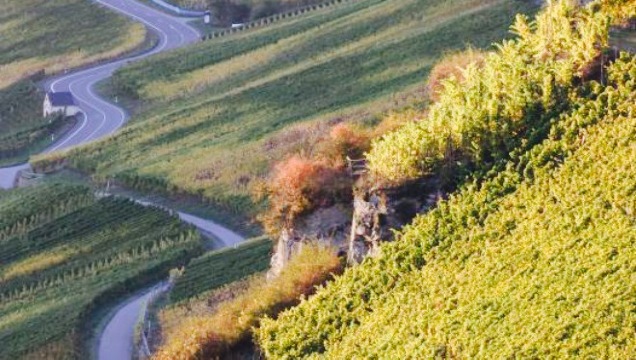 Weingut Lehnert-Veit