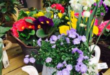 Hanging Gardens Nursery & Tearoom美食图片