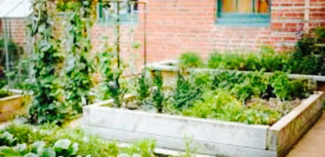 No.7 Balmac餐厅图片