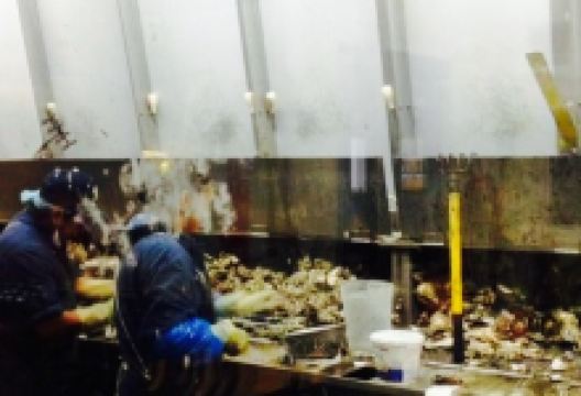 The Pacific Oyster Company美食图片