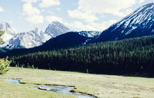 Mount Engadine Lodge Restaurant餐厅图片