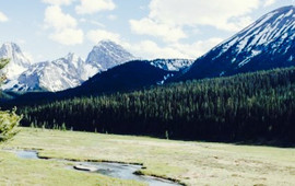 Mount Engadine Lodge Restaurant