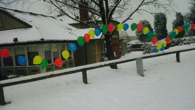 Grandstand, Hungry Horse