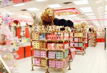 Sarris Candies美食图片