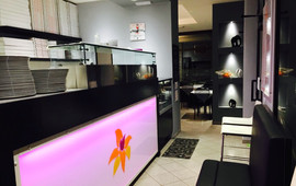Pizzeria Orchidea