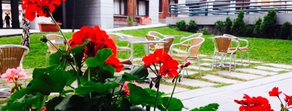 Cafe Igloo餐厅图片