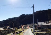 Soba Watanabe美食图片