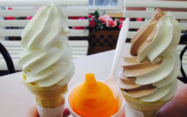 Read's Ice Cream