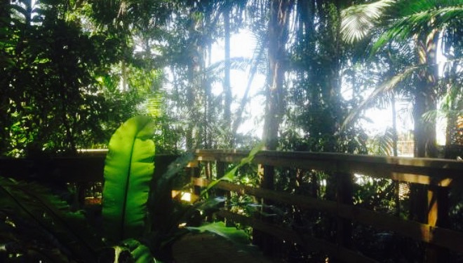 Olleys Honey and Coffee餐厅图片