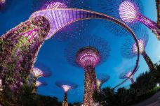 新加坡滨海湾花园-新加坡-doris圈圈