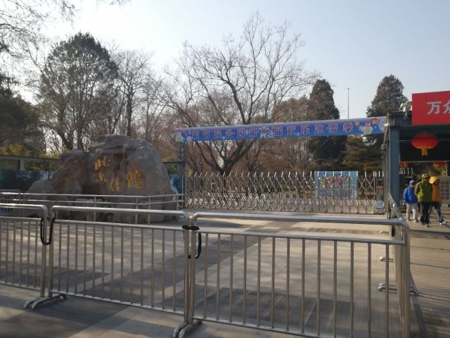 Purple Bamboo Park