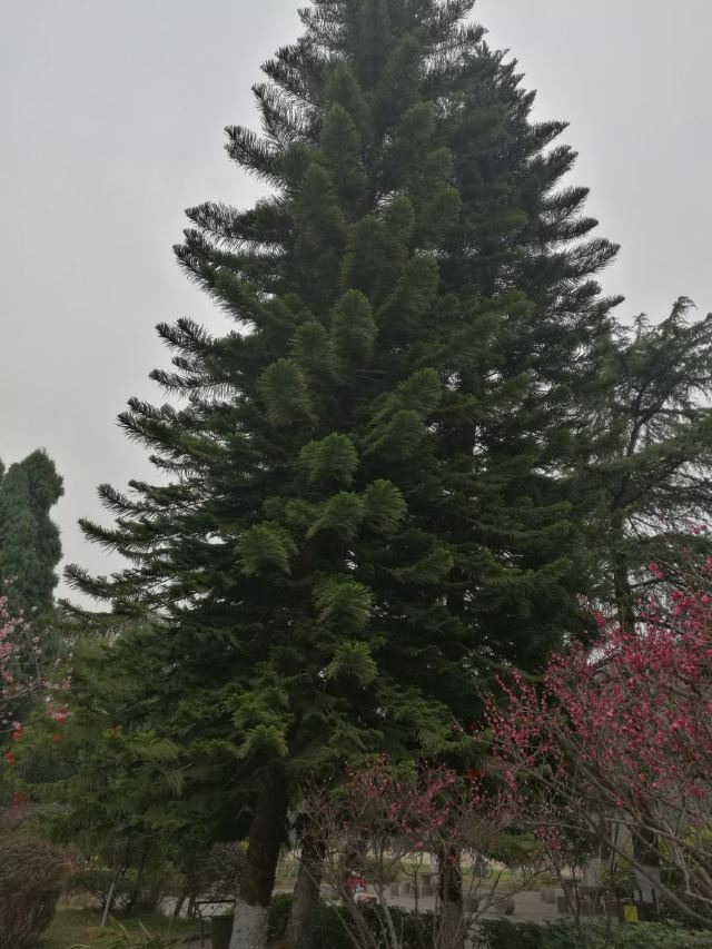 구이린시산관광지