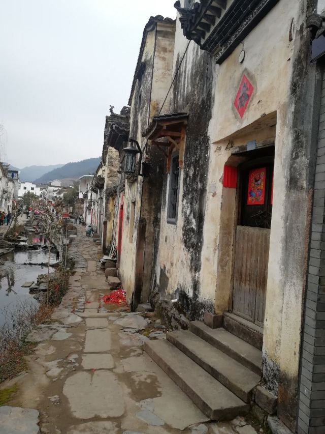 芹川村