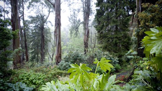 Sherbrooke Forest