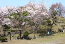 有珠善光寺自然公園景点图片