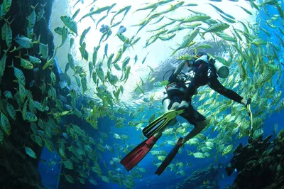 海棠湾潜水