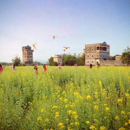 佛山+顺德区+肇庆+珠海+江门+中山6日5晚私家团