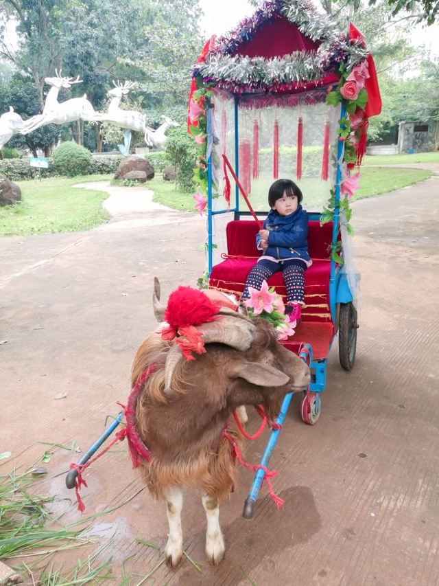 Jinniuling Park