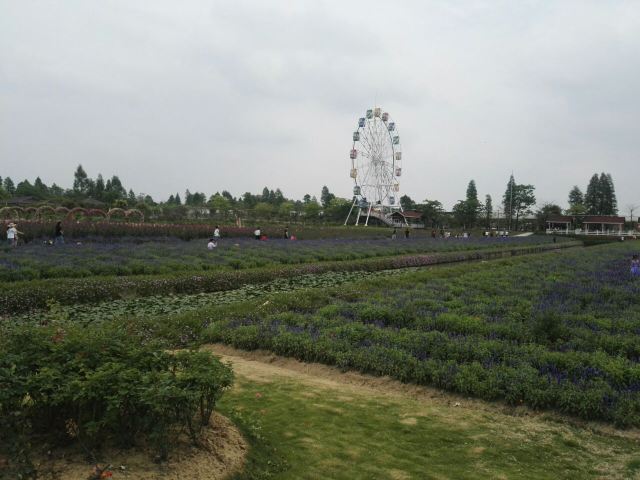 Yuntai Garden