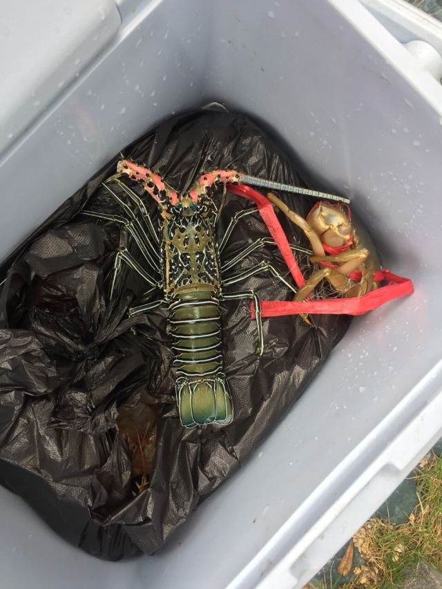 Shuangyuewan fishing experience