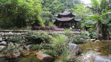 雁南飞茶田景区-桥溪古韵-梅州-doris圈圈