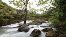 梅州雁南飞茶田景区-桥溪古韵-梅州-doris圈圈