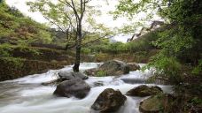 雁南飞茶田景区-桥溪古韵-梅州-doris圈圈