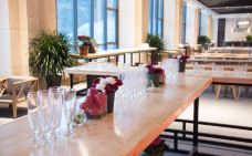 张家口-doris圈圈