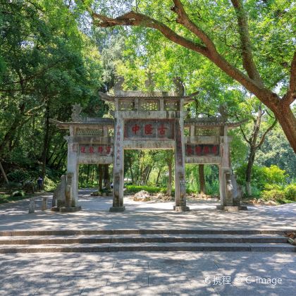 武当山风景区+中国唐城+古隆中4日3晚私家团