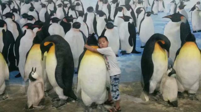 Qujiang Polar Ocean Park