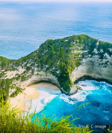 5D4N • Indonesia + Bali + Penida Fairy Cliff Fall + Ubud Jungle Rafting + Lovina Dolphin Watching Tour (Airfare subsidy available)