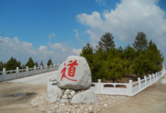 东山生态庄园景点图片