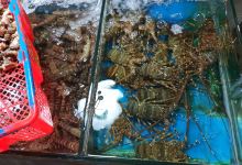 闸坡水产品交易市场购物图片