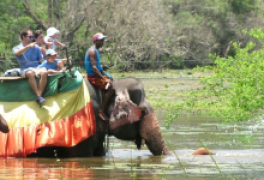 Tea Zone   购物图片