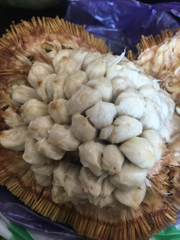 沙巴果里面长这样,还不错吃