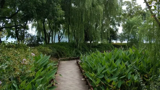 知本樂山步道