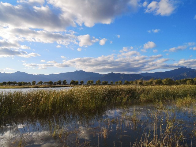 中秋野鸭湖