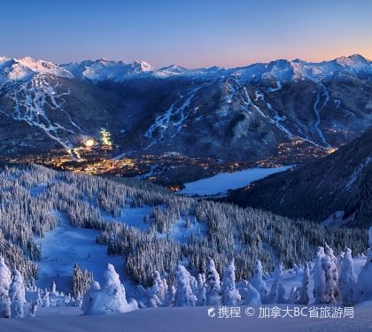 惠斯勒山+惠斯勒滑雪度假村+惠斯勒滑行中心+惠斯勒黑梳山一日游